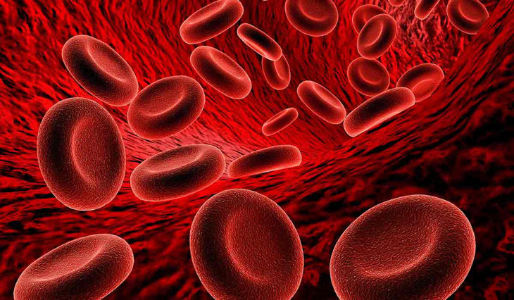 Nhóm máu O Rh+ và O Rh- nói chung là nhóm máu phổ biến nhất